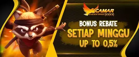 Weekly Rebate Slot VIP promotion banner